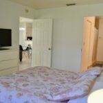 short dolce vita 290B