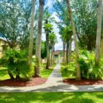 Dolce Vita 350D Gardan